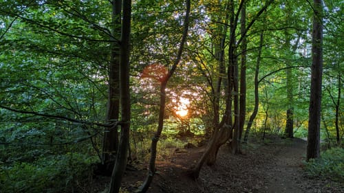 Rundweg Wolfsdorf - Blankensee