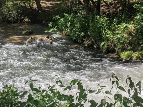 Boker-Heide-Kanal Runde bei Delbrück