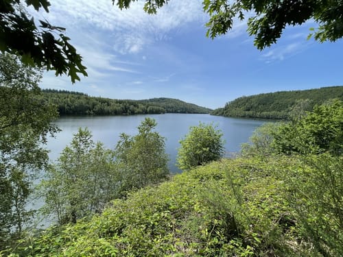 Seerundweg Talsperre Nonnweiler