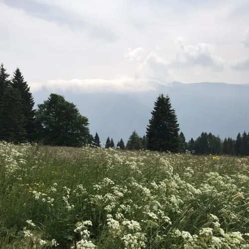 2023 Best Historic Site Trails in Valdastico AllTrails