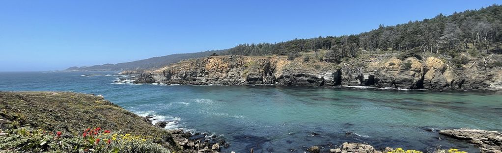 Salt Point Trail to Stump Beach: 485 Reviews, Map - California | AllTrails