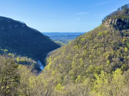 10 Best Hikes and Trails in Cumberland Trail State Park | AllTrails