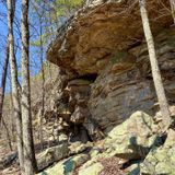 Cumberland Trail-north Soddy Creek Gorge Section, Tennessee - 119 