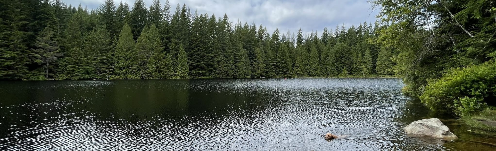 Garibaldi Highlands and Bob McIntosh Memorial Loop 11 Reviews, Map