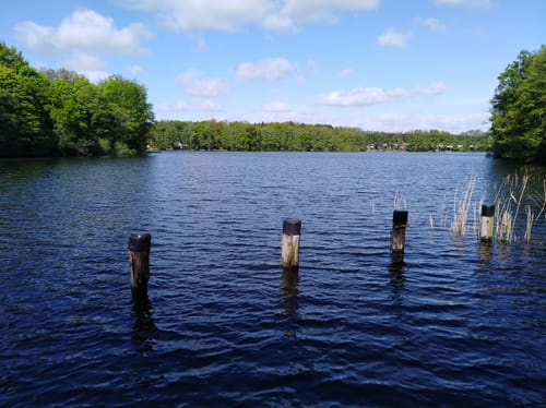 Dümmer See