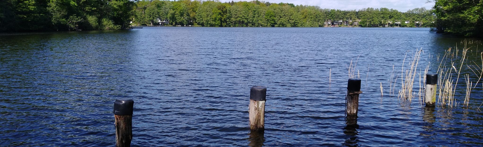 motorboot dümmer see