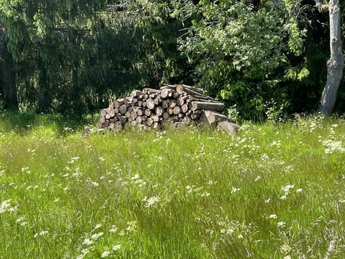 Wiesen-Panorama-Weg