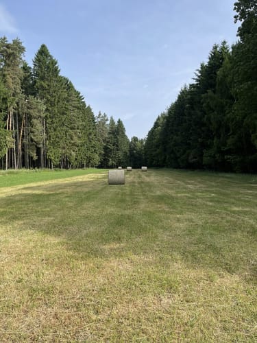 Pöllwitzer Rundweg Süd