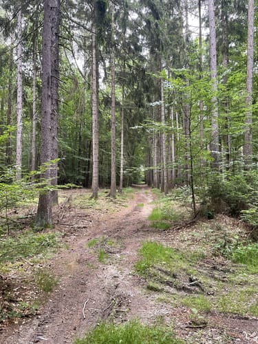 Pöllwitzer Rundweg Süd