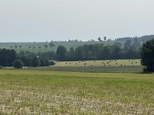 Pöllwitzer Rundweg Süd