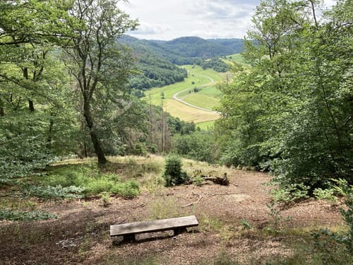 Paradies-Runde ab Wanderparkplatz Immelberg