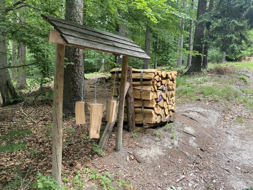 Römer-Keltenpfad (Traumschleife)