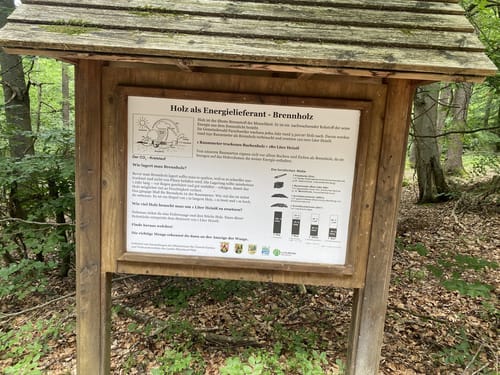 Römer-Keltenpfad (Traumschleife)