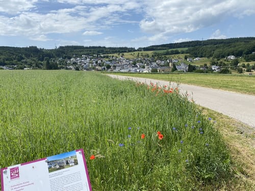 Römer-Keltenpfad (Traumschleife)