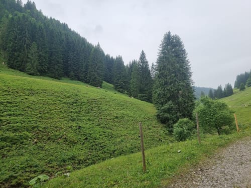 Rund um den Besler