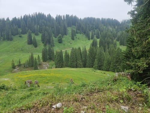 Rund um den Besler