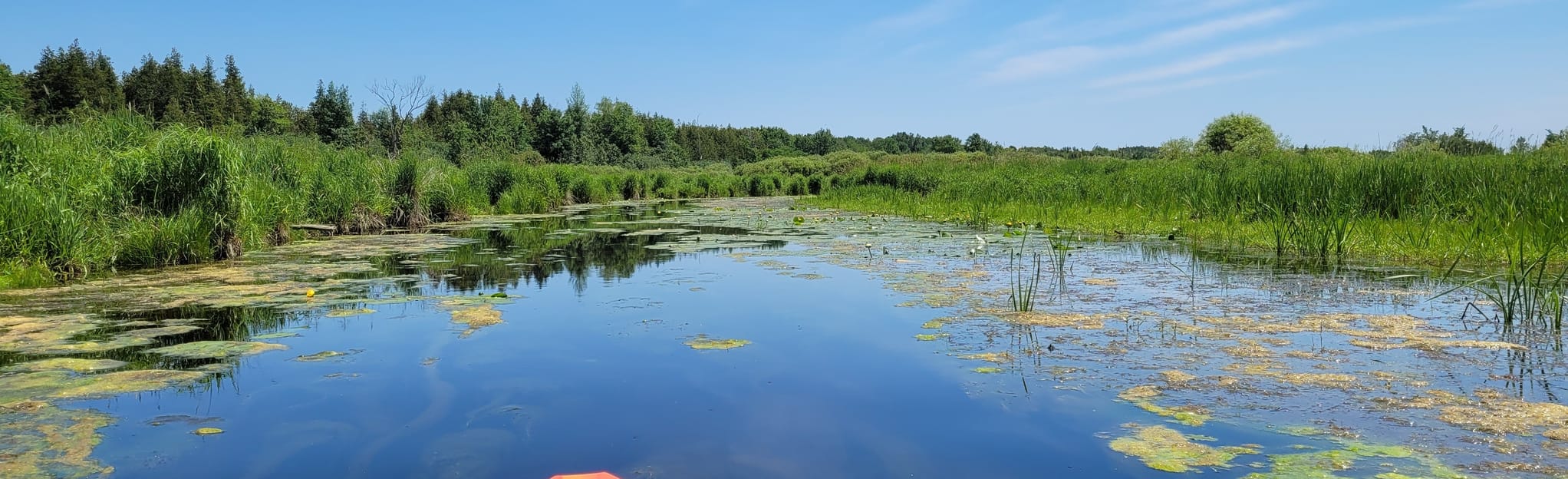 Nonquon River Paddle 6 Reviews, Map Ontario, Canada AllTrails