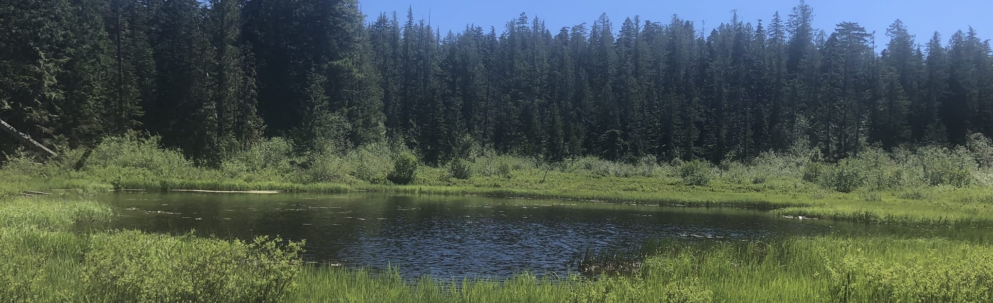 Government Camp to Enid Lake Loop via Maggie's Tie 451 Reviews, Map