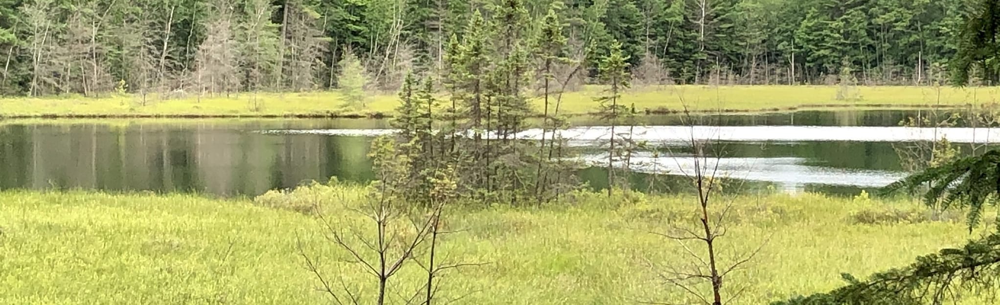 Mud Lake Trail 54 Reviews, Map Wisconsin AllTrails