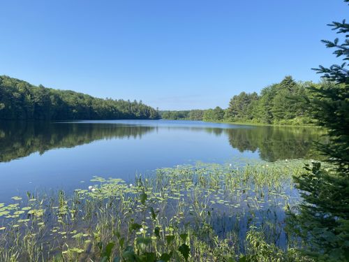 Best Hikes And Trails In Kennebec Messalonskee Trails Alltrails 3204