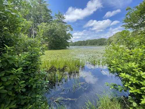 10 Best Hikes and Trails in Blue - EyJidWNrZXQiOiJhc3NldHMuYWxsdHJhaWxzLmNvbSIsImtleSI6InVwbG9hZHMvcGhvdG8vaW1hZ2UvMzc3MDg2NDkvZjk0MWUxOTU5YzBiNjBkYzUwY2RjOWNkYjY4M2ZlOTUuanBnIiwiZWRpdHMiOnsidG9Gb3JtYXQiOiJ3ZWJwIiwicmVzaXplIjp7IndpZHRoIjo1MDAsImhlaWdodCI6NTAwLCJmaXQiOiJpbnNpZGUifSwicm90YXRlIjpudWxsLCJqcGVnIjp7InRyZWxsaXNRdWFudGlzYXRpb24iOnRydWUsIm92ZXJzaG9vdERlcmluZ2luZyI6dHJ1ZSwib3B0aW1pc2VTY2FucyI6dHJ1ZSwicXVhbnRpc2F0aW9uVGFibGUiOjN9fX0=