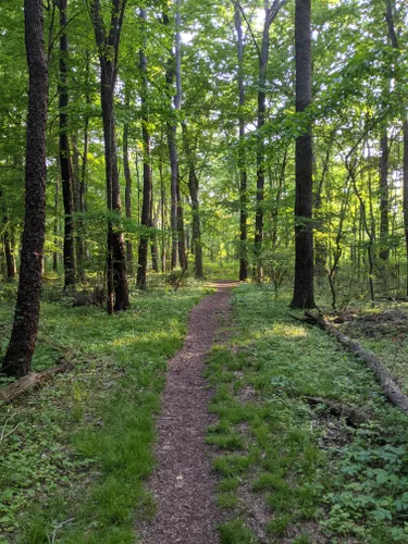 Best Hikes and Trails in Kent | AllTrails