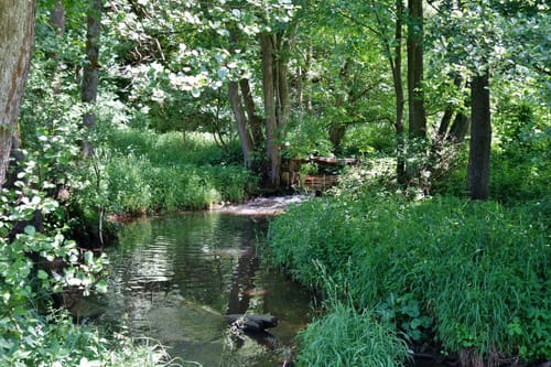 Erzweg Etappe 1: Pegnitz - Auerbach