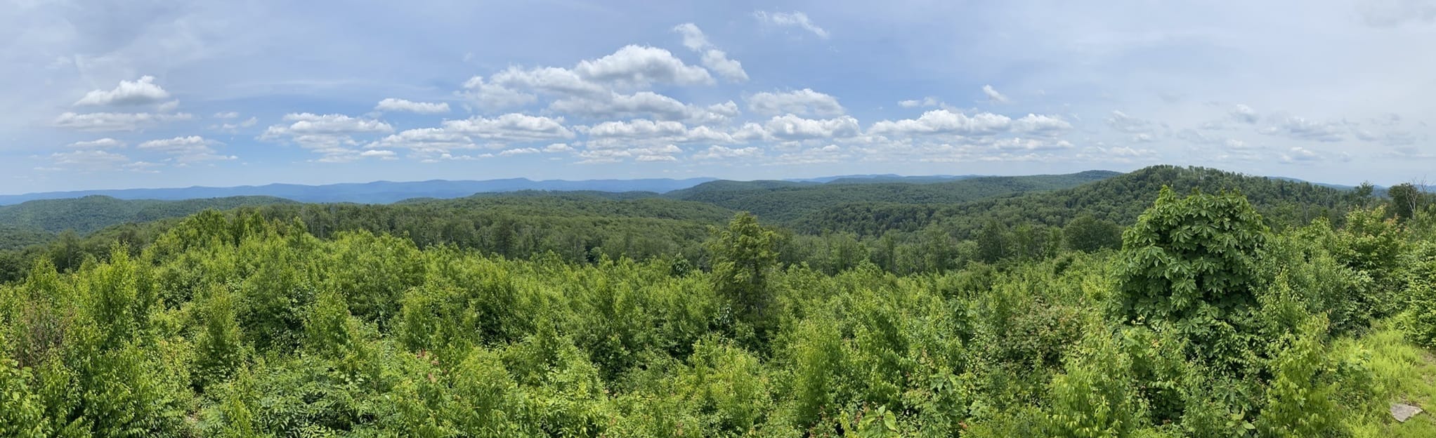 Rich Mountain Trail 12 Reviews, Map West Virginia AllTrails