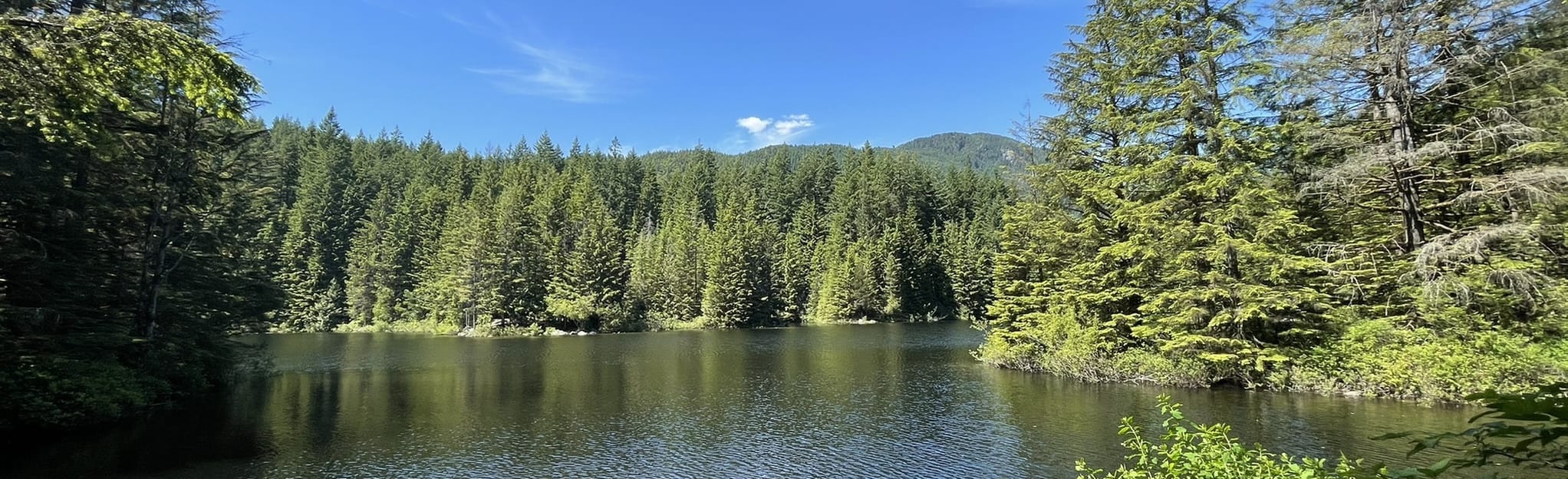 Rice Lake Loop 733 Reviews, Map British Columbia, Canada AllTrails