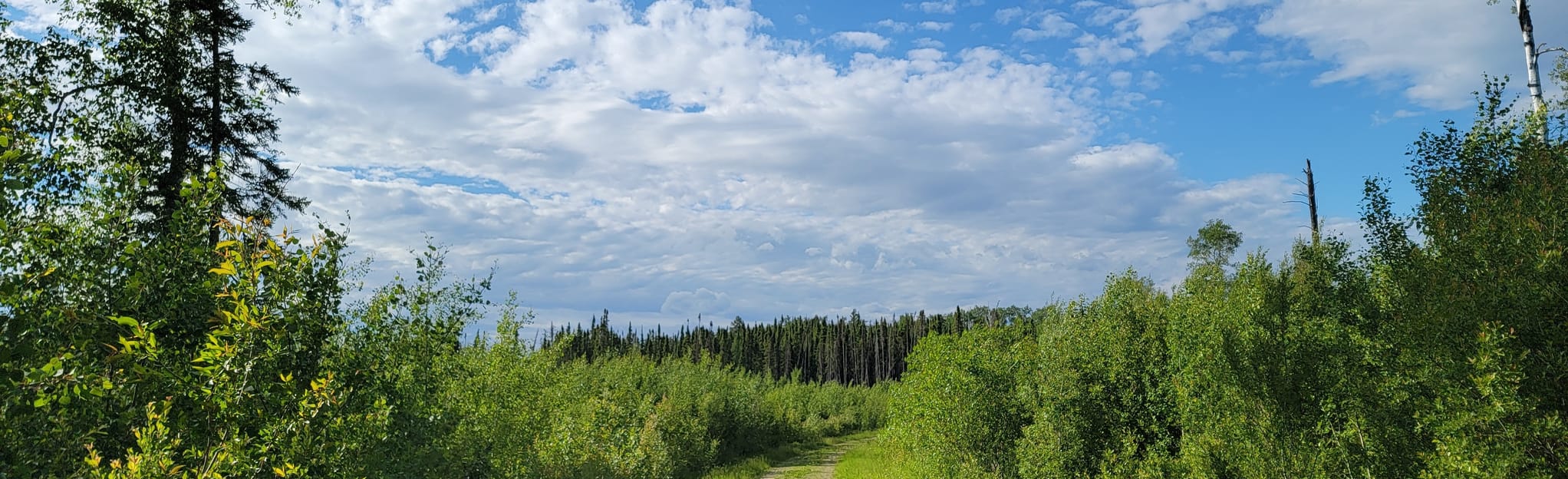 Duck Mountain North Loop, Manitoba, Canada 2 Reviews, Map AllTrails