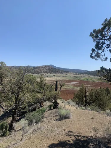 High Desert Wonders: 5 Scenic Hiking Trails in Prineville - Oregon