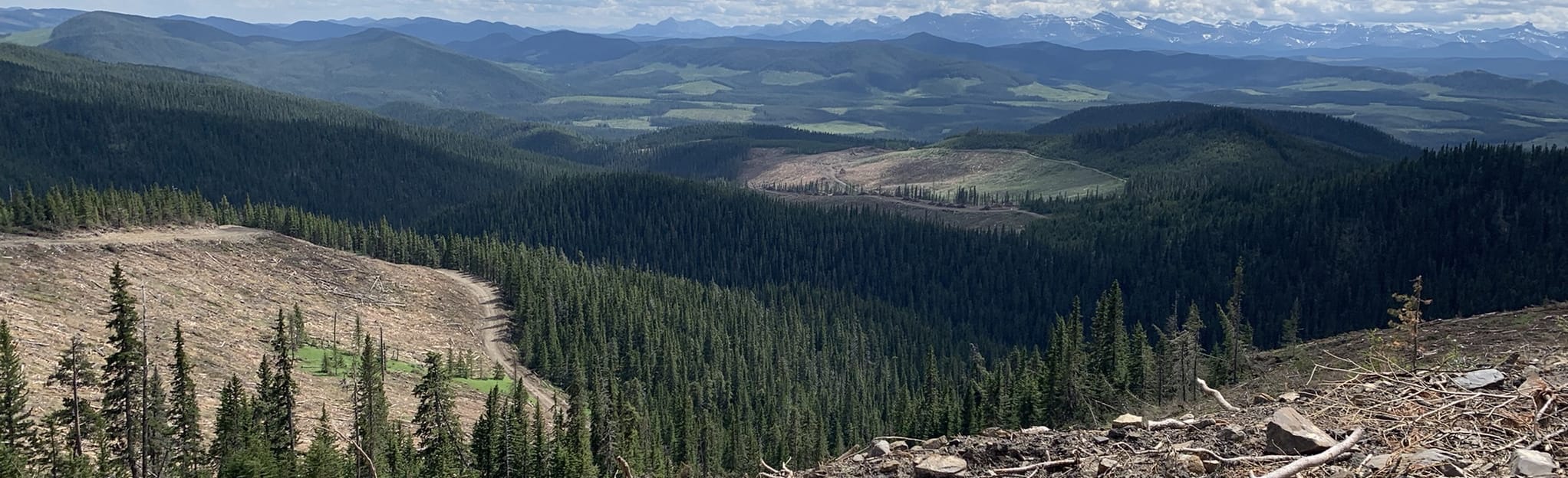 Blue Hill Lookout, Alberta, Canada - 32 Reviews, Map | AllTrails