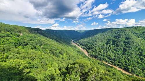 10 Best Hikes and Trails in New River Gorge National Park and Preserve ...