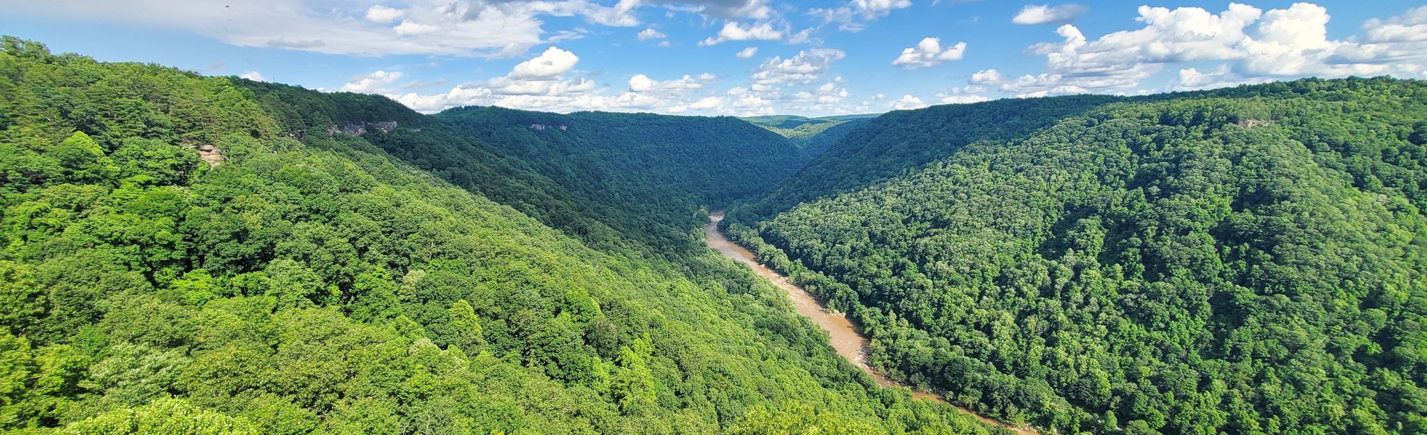 Endless Wall Trail, West Virginia - 4,492 Reviews, Map | AllTrails