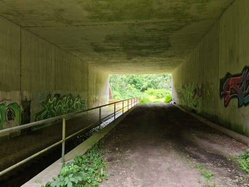 Mühlenwanderweg Walluftal