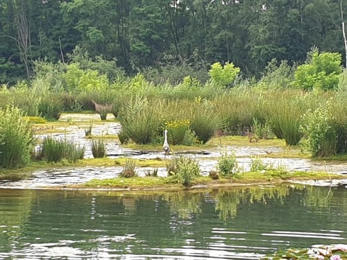 Fietsroute Lottum - Leeremarksche Heide