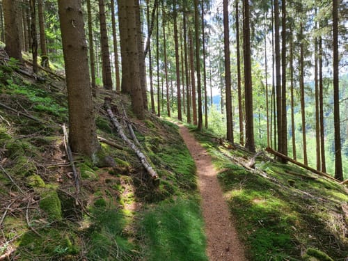 Dürrenwaider Panoramaweg DÖ 99