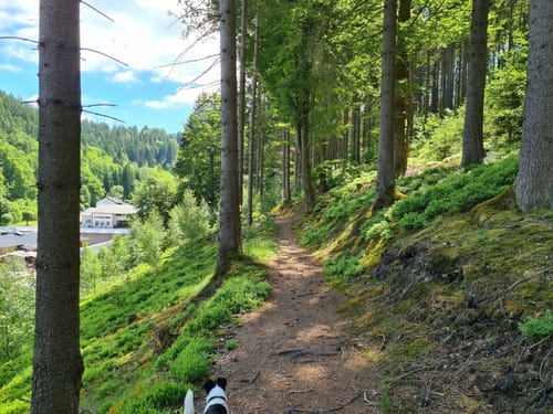 Dürrenwaider Panoramaweg DÖ 99