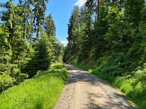 Dürrenwaider Panoramaweg DÖ 99