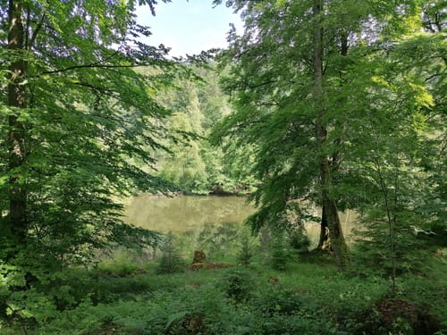 Rundweg Seebachtal Hain