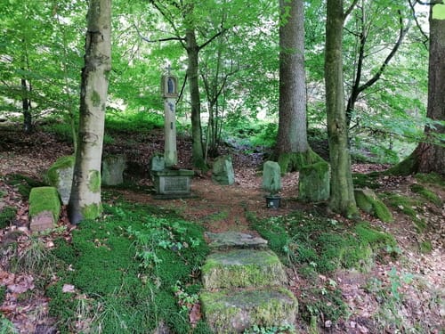 Rundweg Seebachtal Hain