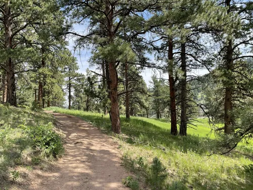 Best Hikes and Trails in Flying J Ranch Park | AllTrails