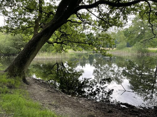 Overhetfeld: Elmpter Schwalmbruch und Vogelsberg