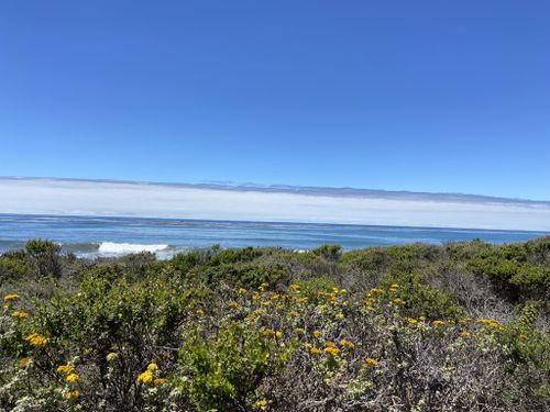 2023 Best 10 Trails and Hikes in Cambria | AllTrails