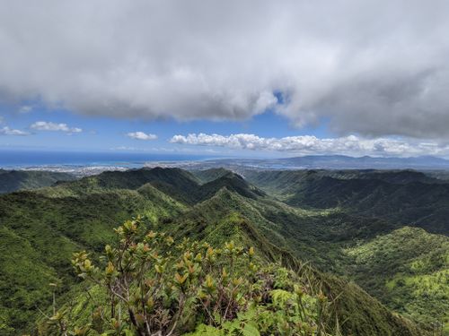 2023 Best 10 Forest Trails in Honolulu Watershed Forest Reserve | AllTrails