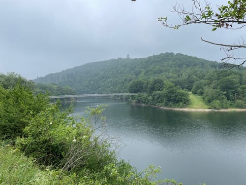 Bird Watching Runde: Von Vogelsang über die Urftseebrücke