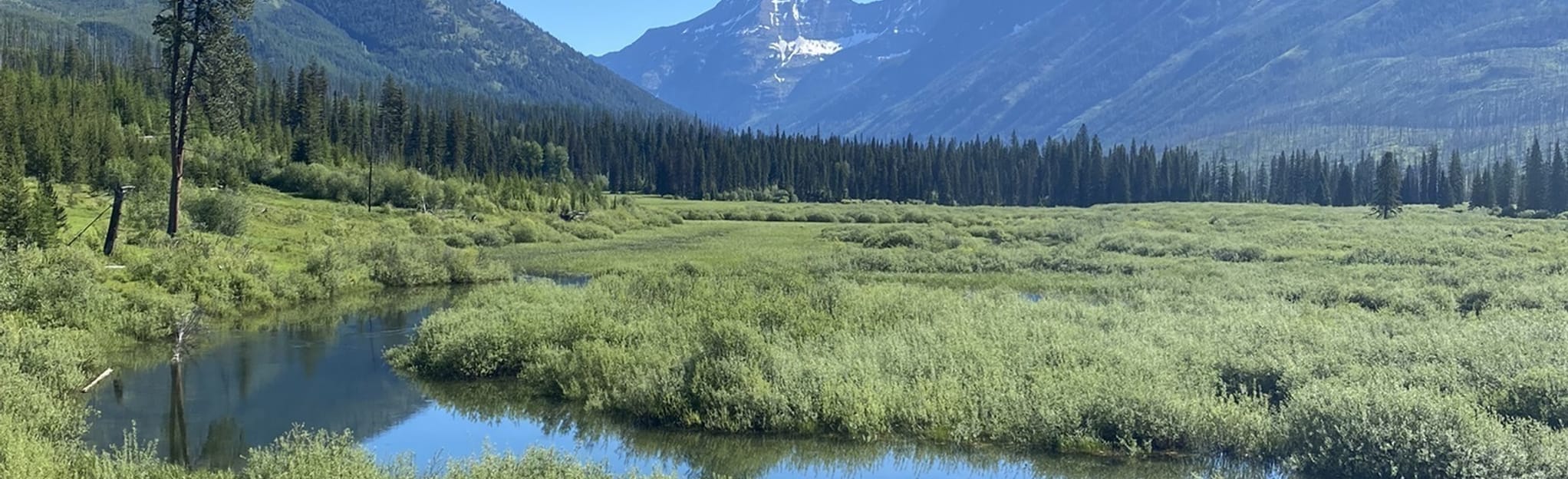 Trout Lake, Montana 18 Reviews, Map AllTrails