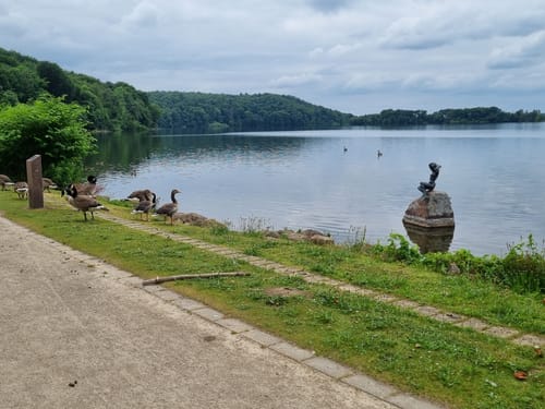 Dieksee Rundweg