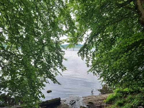 Dieksee Rundweg