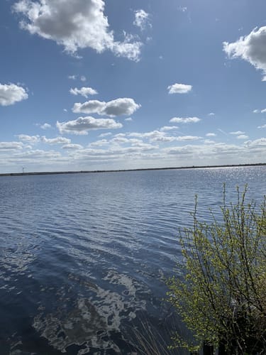 Bohlenweg am Ewigen Meer